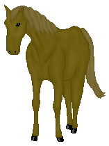Pretty wittle horsie