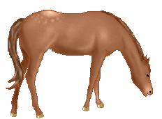 Methinks this horse came out realistic and nice