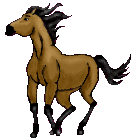 Spirit: Stallion of the Cimarron! Best animated film ever!