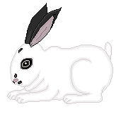 Exactly what my wittle bunny looked like :'(